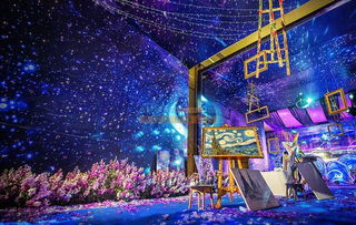 創藝無憂 打造海南婚慶與會議展覽的一站式專業服務平臺